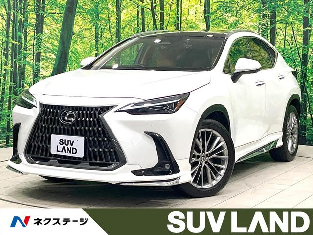 NX 250 バージョンL