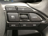 前方の車との車間を設定し、スピードを上げたり緩めたりを自動で行ってくれる追尾式の「レーダークルーズ」。上級装備の一つです!高級車にしかつかない嬉しい機能です。