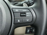 ◆アダプティブクルーズコントロール◆予め設定した車速内でクルマが自動的に加減速。前走車との適切な車間距離を維持しながら追従走行します。【LKAS】車線維持支援システムでステアリング操作を支援。