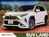 全周囲カメラ 純正10.5型ディスプレイ 禁煙車 100V電源