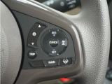 ◆アダプティブクルーズコントロール◆予め設定した車速内でクルマが自動的に加減速。前走車との適切な車間距離を維持しながら追従走行します。【LKAS】車線維持支援システムでステアリング操作を支援。
