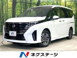 禁煙車 純正12型ナビ 寒冷地仕様 両側電動ドア 後席モニター デジタル