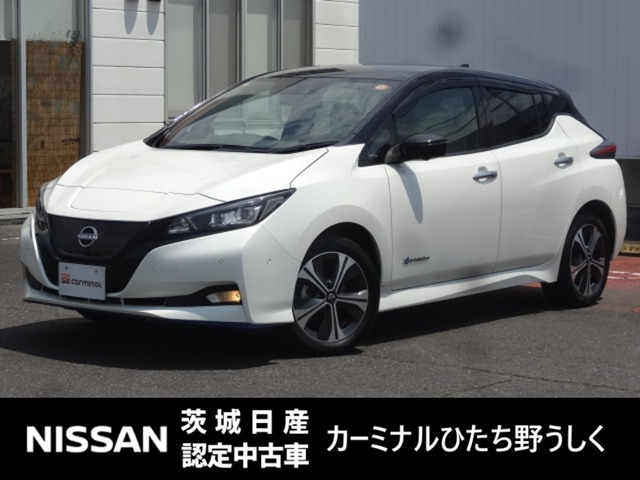 リーフ e+ G 