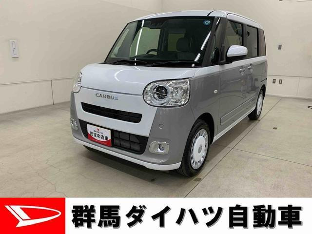 ムーヴキャンバス  ストライプス G
