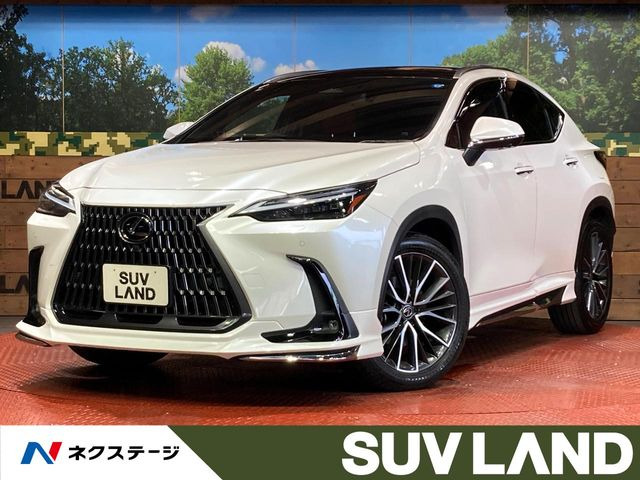 NX 250 バージョンL