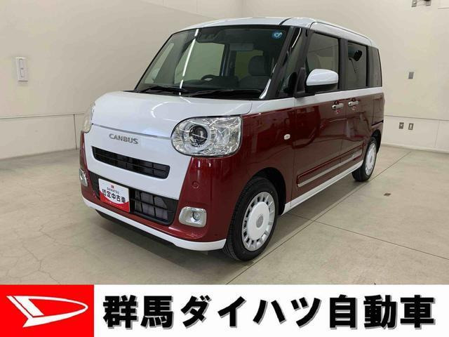ムーヴキャンバス ストライプス G