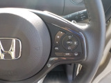 一定の速度(例えば100km)と設定しておけばその速度でずっと走ってくれる「クルーズコントロール」付です。例えば高速道路で設定すれば、アクセル踏まなくてもいいので楽ですよ!燃費も良くなります。