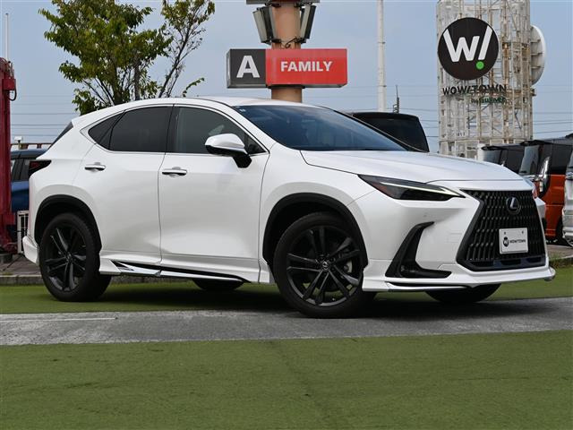 NX 250 バージョンL 本革シート 修復歴無し