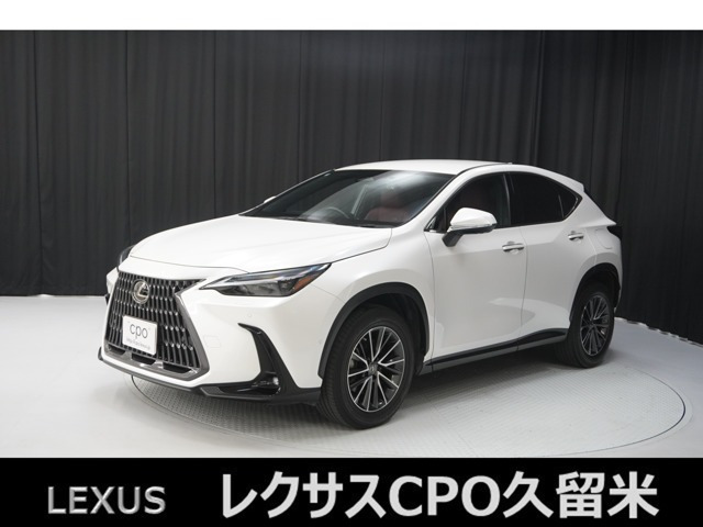 NX