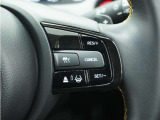 ◆アダプティブクルーズコントロール◆予め設定した車速内でクルマが自動的に加減速。前走車との適切な車間距離を維持しながら追従走行します。【LKAS】車線維持支援システムでステアリング操作を支援。