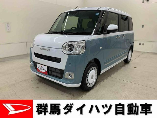 ムーヴキャンバス ストライプス G
