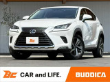 BUDDICA(バディカ)は全国販売可能です♪LINEやビデオ通話のご連絡も受付中♪気になる箇所の画像やビデオでの車両確認等、気になったらいつでもご連絡お待ちしております★