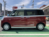 ムーヴキャンバス  ストライプス G