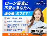 ピクシスメガ L 4WD 