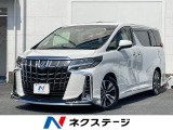 モデリスタ ダブルサンルーフ メーカーナビ 全周囲カメラ 後席モニター