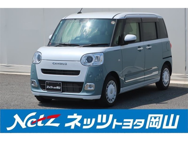 ムーヴキャンバス  ストライプス G