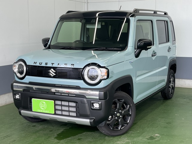 ハスラー タフワイルド 4WD