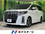 10型メーカーナビ 両側電動ドア 後席モニター 全周囲カメラ JBL