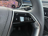 地図情報や車両情報などをステアリングのスイッチから操作して表示できます。