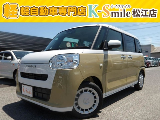 ムーヴキャンバス  ストライプス X
