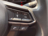 ステアリングスイッチで、先行車に自動追従するアダプティブクルーズコントロールが作動可能。設定した車速内での車間距離を自動で調整・維持。高速道路の渋滞時もアクセル・ブレーキ操作から解放されます。