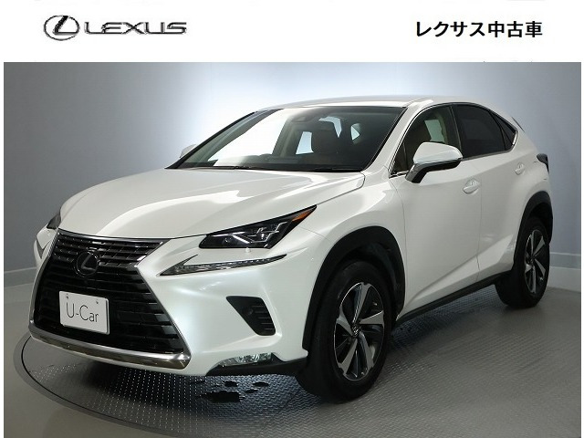 NX 300 Iパッケージ