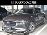 オートエクゼのスタイリングキットがカッコイイ☆ぜひ店頭でお確かめください。早い者勝ちです!