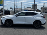 NX 350h Fスポーツ 
