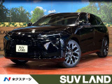 純正12型ディスプレイオーディオ 全周囲カメラ 衝突被害軽減システム