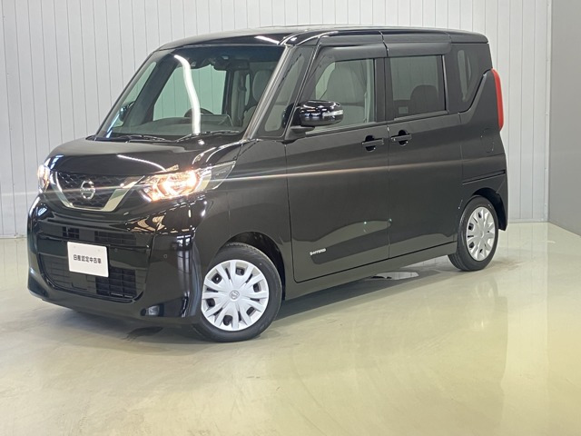 デイズルークス X
