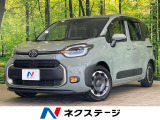 レーダークルーズ 両側電動ドア 禁煙車 BSM AC100V電源 ETC