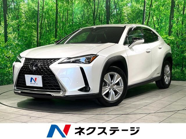 UX 250h バージョンC 
