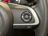 高速道路を一定速度で走行できるクルーズコントロールが付いています。