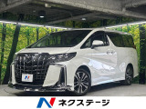 本州仕入れ モデリスタエアロ フリップダウンモニター JBLサウンドナビ
