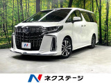 モデリスタエアロ JBL 両側電動ドア SDナビ 全周囲カメラ