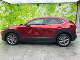 CX-30 2.0 20S プロアクティブ 