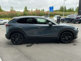 CX-30  2.0 20S ブラックトーンエディション 4WD