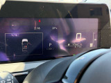 実走行317km