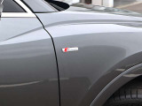 S-lineエンブレム