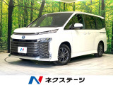 両側電動ドア 後席モニター バックカメラ 100V電源 衝突被害軽減