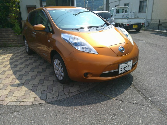 リーフ 30kWh X