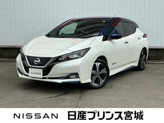 リーフ G 