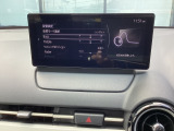 オーディの音質調整も可能です。
