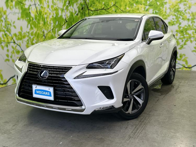NX 300h バージョンL 