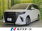 ガラスルーフ モデリスタエアロ 両側電動ドア 後席モニター 全周囲カメラ