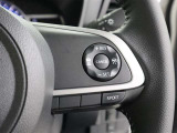 クルーズコントロール付きで高速道路もらくらく運転が可能ですよ♪