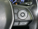 クルーズコントロール機能が付いています。 速度を設定するとアクセルを踏まなくても一定の速度で走ることができます。  高速道路ではとても便利な装置なんです。