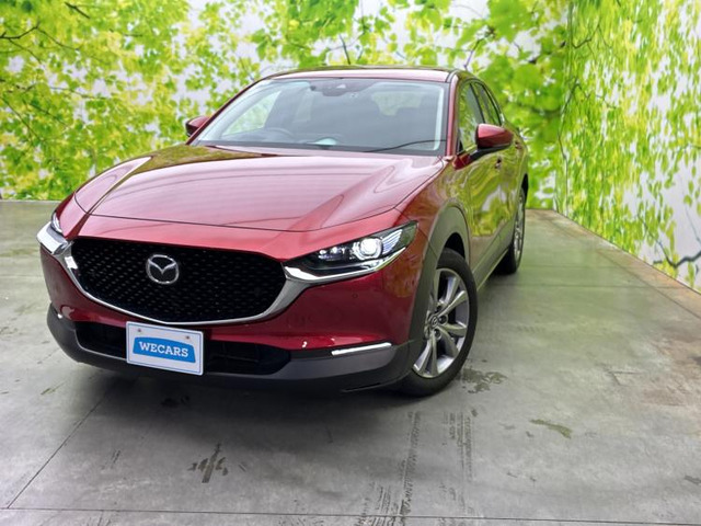 CX-30 2.0 20S プロアクティブ 