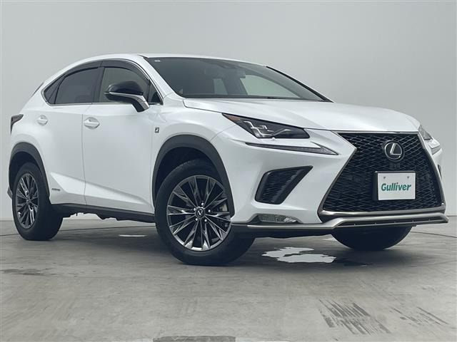 NX 300h Fスポーツ 本革シート 修復歴無し