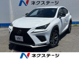 沖縄県内での販売・登録が条件※宮古島除く